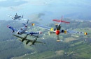 A-10, F-86, P-38 & P-51 Фонд Наследия