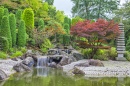 Японский сад в Бонне, Германия