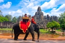 Слон в Ангкор-Вате, Камбоджа