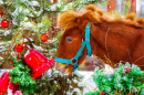 Рыжий пони около Рождественской елки