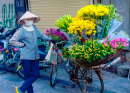 Продавец цветов в Ханое, Вьетнам