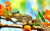Белка-летяга на цветущем дереве