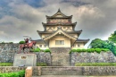 Замок Тиба, Япония