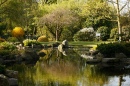 Сады Киото, Лондон
