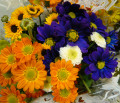 Красочные цветы