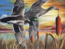 Duck Stamp Art Contest