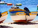 Boats in Carvoeiro