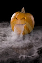 Foggy Pumpking