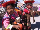 Перуанские дети с ягнятами