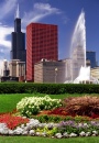 Цветы в Грант-парк в Чикаго