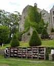 Книги и замок