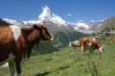 Matterhorns in Switzerland