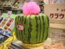 Cube Watermelon in Tokyo