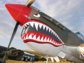 P-40E Уорхаук/Киттихаук