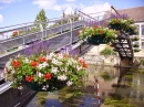 Цветочный мост в Кон-Кур-Сюр-Луар, Франция