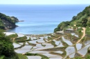Рисовые террасы Хаманупа