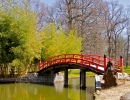 Японский мост, Ботанический сад в Мемфисе