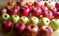Смесь яблок