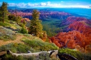 Национальный парк Брайс-Каньон, Юта