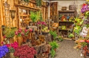Местный цветочный магазин в Эдмонде, Оклахома