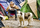 Протестующий пес на Occupy LSX