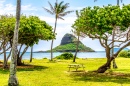 Вид с пляжа Куалоа, Гавайи