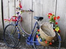 Красочный велосипед