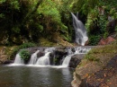 Водопад Элабана, Австралийский тропический лес