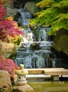 Водопад в саду Киото