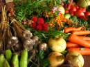 Экологически чисто выращенные овощи