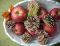 Яблоки и шишки