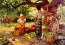 Сборщики фруктов под манговым деревом