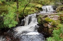 Маленький водопад в Талибонт, Уэльс