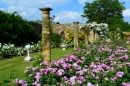 Розовый сад в замке Хивер, Англия