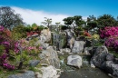 Японский сад, Буэнос-Айрес, Аргентина
