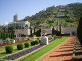 Haifa Terraces