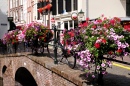 Голландия: цветы, велосипеды и мосты