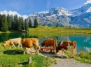 Озеро Рето, Швейцарские Альпы