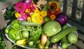 Цветы и овощи