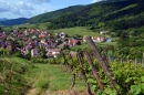 В виноградниках вокруг Реквира, Франция