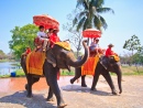 Поездка на слонах в Аюттхае, Таиланд