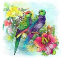Попугай и цветы