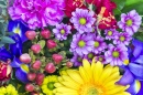 Весенние цветы для девушки
