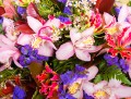 Яркие цветы