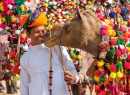 Верблюд и его хозяин, Пушкар, Индия