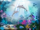 Подводный мир с дельфинами