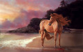 Horse on the beach