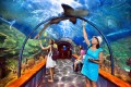 Аквариум Loro Parque, Тенерифе, Испания
