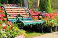 Винтажная скамейка в тюльпановом саду