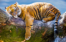 Тигр отдыхает на ветке
